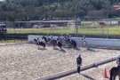 Un brot de rhino impedeix la disputa de la jornada a la Lliga Nacional de Horseball d'aquest cap de setmana