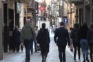 La Garrotxa segueix sent la tercera comarca amb el risc de rebrot més alt de Catalunya