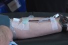 El Banc de Sang i Teixits ha organitzat una campanya de donació de plasma normal i plasma convalescent