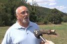 La indignació contra la sanció a un ramader del Ripollès per la mort de 25 gripaus arriba a la Garrotxa