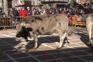 La Fira de Santa Llúcia omple Sant Feliu de Pallerols de parades, bestiar i maquinària