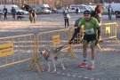 El canicròs, una modalitat cada vegada més present per unir el gos i la persona