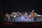 L'Orquestra de Cambra de Terrassa 48 ofereix un Concert de Nadal d'Olot de gran diversitat per celebrar l'inici d'any