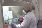 El laboratori clínic de l'Hospital d'Olot supera les 25.000 PCR per COVID processades