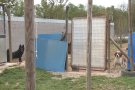 La gestió de la protectora d'animals de la Garrotxa segueix encallada al jutjat