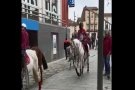 Èxit de participació a la festa de Sant Antoni d'Olot