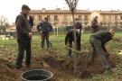 La plantada d'arbres de l'Associació de Jubilats i Pensionistes de Les Preses celebra 30 anys