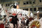 Els Amics del Carnaval de Mar i Muntanya guanyen el concurs de carrosses de la Gran Rua del Carnaval d'Olot