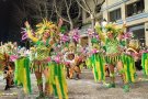 Els Emmaskarats tornen a proclamar-se guanyadors del concurs de comparses de la Gran Rua del Carnaval d'Olot