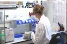 Cap cas diagnosticat a la Garrotxa per l'hepatitis infantil d'origen desconegut