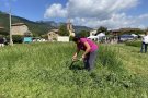 Els Hostalets d'en Bas recuperen la seva festivitat més emblemàtica: el Dia de la Dalla