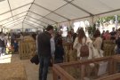 Olot celebra una concorreguda Fira de Sant Lluc