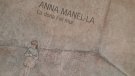 Ja está a la venda el nou llibre sobre l’artista olotina Anna Manel·la