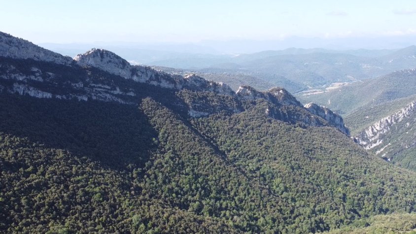 Conèixer i documentar l'Alta Garrotxa per poder seguir donant-li vida