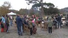 Sant Miquel i Les Tries celebren un cap de setmana de circ i poesia