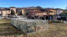 La Fira de Santa Llúcia de Sant Feliu de Pallerols aposta cada vegada més pel bestiar