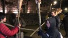 Els fallaires d'Argelaguer tornaran a buscar l'Home Escorça
