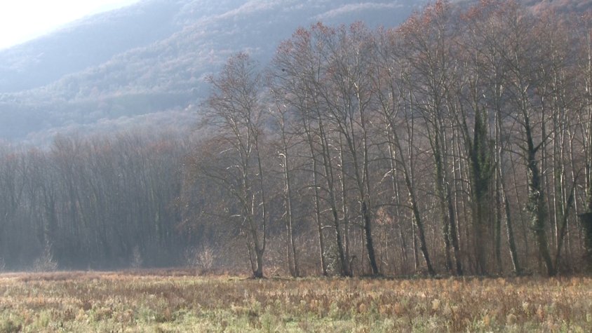 Sant Feliu de Pallerols tindrà urbanitzat el pla de Llongafollia en un termini màxim de dos anys 