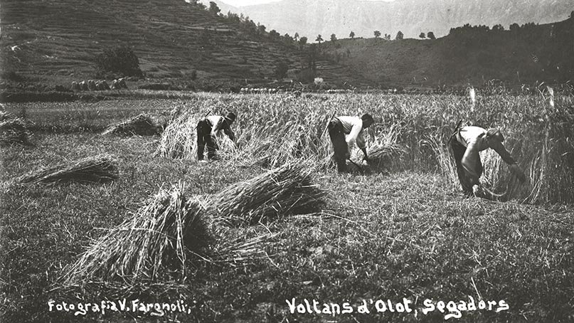 La Diputació de Girona obre una exposició virtual interactiva de la mostra 'Valentí Fargnoli, el paisatge revelat'