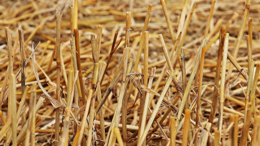 La nova llei europea de política agrària comportarà una nova canvis a les terres i finques de la Garrotxa