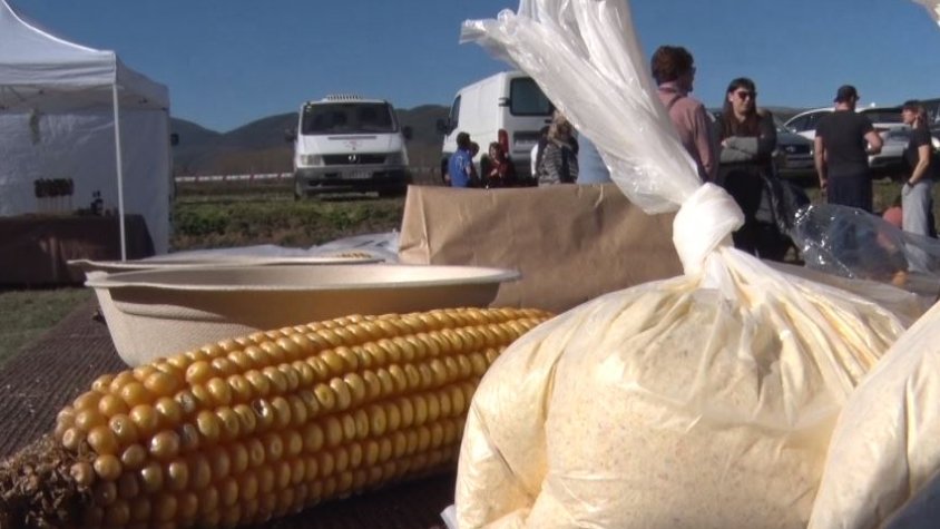 La Fira del Farro amb més vida que mai tot i la falta de productors  