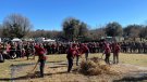 La demostració del cultiu és la principal essència de la Fira del Fajol