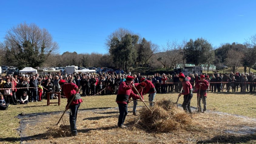 La demostració del cultiu és la principal essència de la Fira del Fajol
