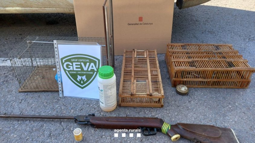 Denunciat per enverinar gossos i gats a Olot