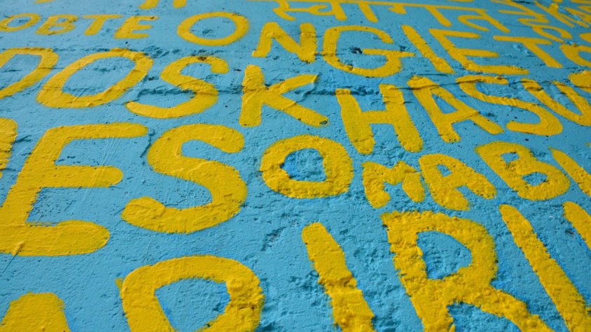 A Olot es parlen fins a 56 llengües diferents