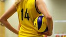 L’esport femení reclama més visibilitat amb motiu del Dia Internacional de la Dona