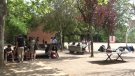 El Centre de Salut Mental Infantil i Juvenil de la Garrotxa adverteix que els casos d'assetjament escolar augmenten i es tornen més violents