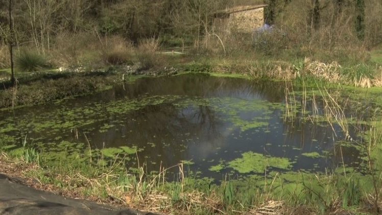 Restauren les tres basses dels aiguamolls de Beguda