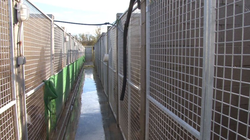 El Consell Comarcal de la Garrotxa podrà fer millores a les instal·lacions de Can Mali