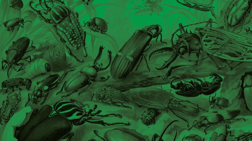 El Sismògraf engega a Olot la quinzena edició amb una trentena d'espectacles