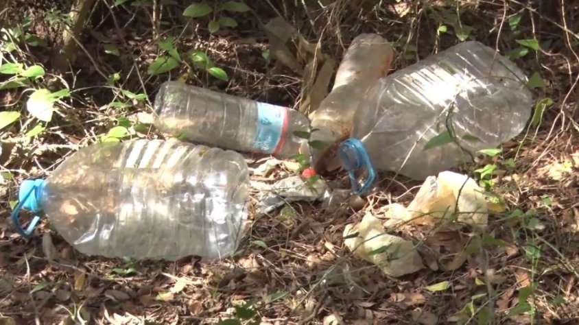 Els boscos bruts per culpa de l'incivisme d'algunes persones: una altra pandèmia del segle XXI