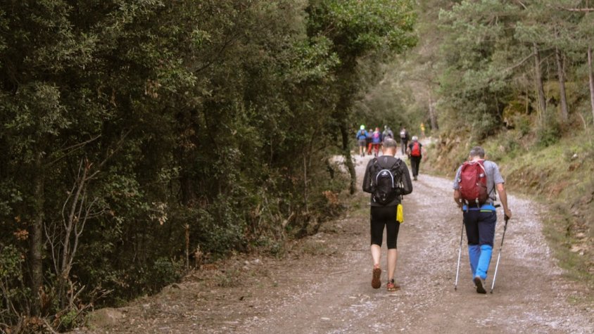 La 45a Embardissada del Centre Excursionista d’Olot coronarà el cim de Montfalgars