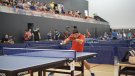 El Club Tennis Taula Olot jugarà la fase d'ascens a Superdivisió i Divisió d'Honor a casa
