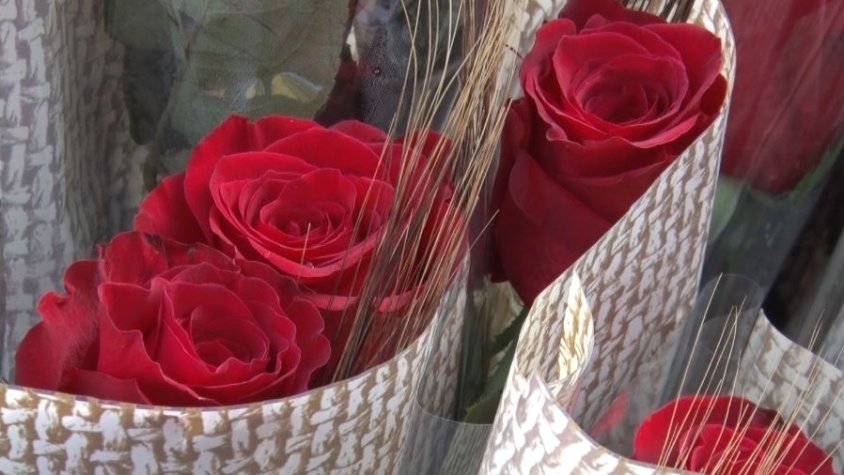 La Diada de Sant Jordi es podrà gaudir en directe per Ràdio Olot i Olot Televisió aquest diumenge 