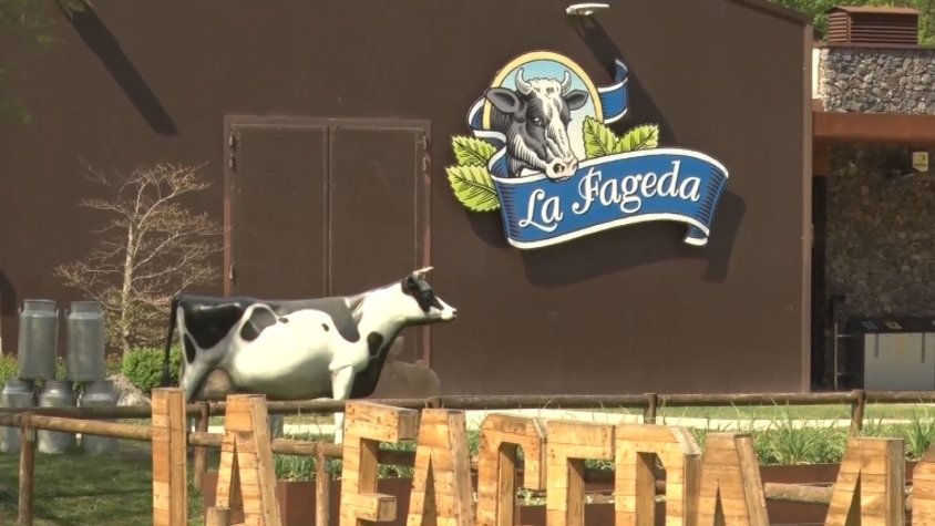 La Fageda es converteix en un model de gestió de referència per a molts emprenedors