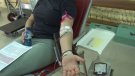 La setmana de donació de sang acaba amb xifres rècords, més de 500 donants