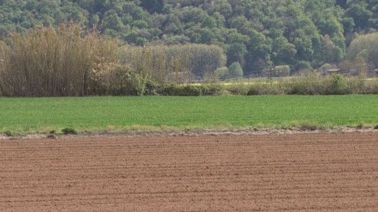 La pagesia es manifesta per rebutjar el quadern digital i l'allau de burocràcia a la qual estan sotmesos