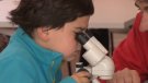 25 nens i nenes es posen a la pell de geòlegs i geòlogues a l'Espai Cràter