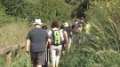 Més d'una dotzena de propostes senderistes per tota la comarca en una nova edició del Garrotxa Volcànic Walking