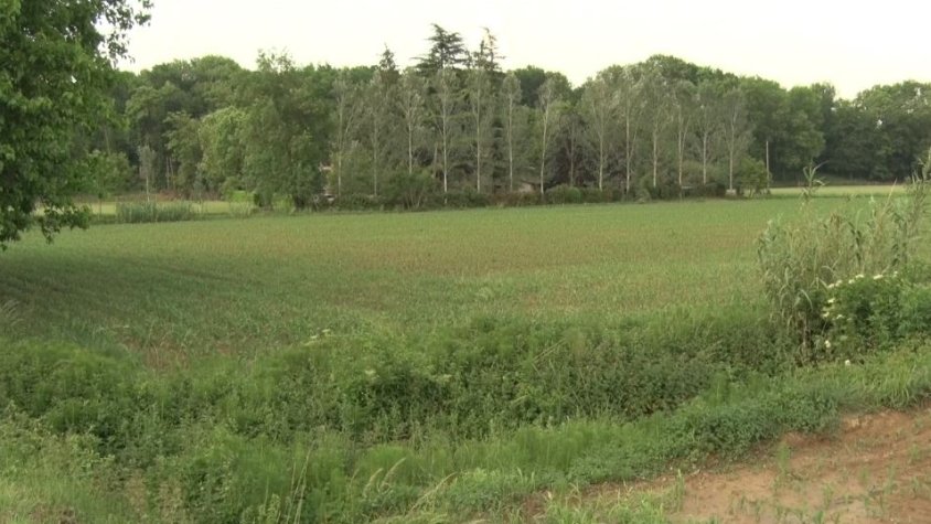Un grup d'experts descobreixen que les últimes erupcions volcàniques a la Garrotxa van ser abans del que es pensava fins ara