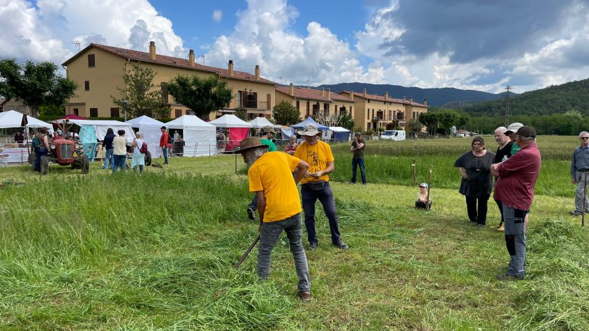 La Comissió de Festes dels Hostalets d'en Bas destaca la bona salut del Dia de la Dalla