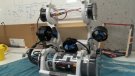 Un projecte de la UdG sobre robots submarins vol arribar a detectar possibles càncers
