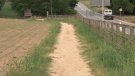 Santi Reixach critica que el tram de bici carril de la Vall de Bianya encara no estigui acabat