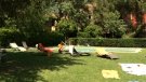 Ple en les Cases Rurals de la Garrotxa