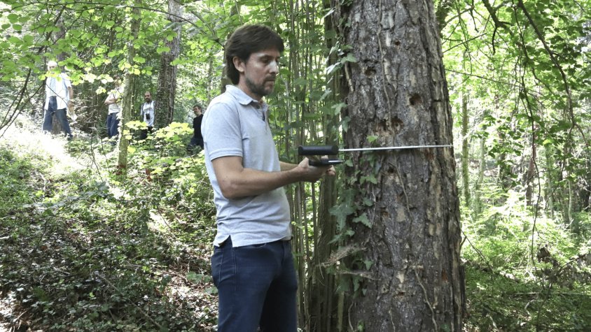 El Departament d’Acció Climàtica donarà ajudes valorades en 300.000 euros en una primera línia per a propietaris forestals