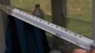 Les temperatures superen rècords a la Garrotxa